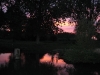 img_0050